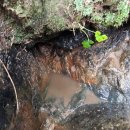 옹달샘 농장 이미지