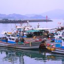 용궁수산주 이미지