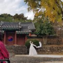 열녀 진주정씨 정려 이미지