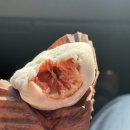 모찌가 | 광교 모찌가 n번째 내돈내산 후기. 꼭 드세요ㅠ