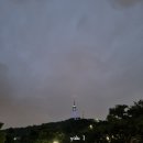 충무로광안리광안리 | [충무로 맛집] 육사시미 연어 무한리필 충무로 광안리 리얼 후기