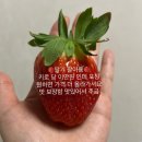 총총˙˚ʚ₍ ᐢ. ̫ .ᐢ ₎ɞ˚˙