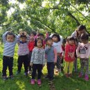 삼천초교병설 이미지