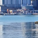 완도읍-5 이미지