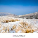 남진축산 이미지