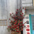 영화조경 이미지