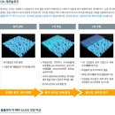 클리어카 이미지