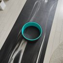 필레오트윈파크2동 | 요가휠 사용후기 홈트족 추천 스트레칭 운동템 효과 솔직리뷰 / 요가 폴댄스 추천템