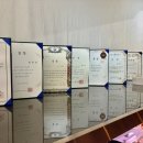인생 에그파이 에그타르트
