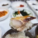 [강원도 양양] 양양 현지인 맛집 &#39;그옛날밥상&#39; 다녀온 후기