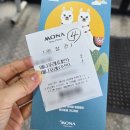 애니 골프 | 평창 모나용평 애니포레 공기 좋은 숲길, 예쁜 경치, 동물 체험까지!(내돈내산 솔직후기)