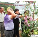 서현농장 이미지