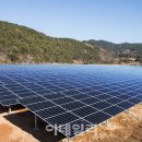 우성 태양광발전소 이미지