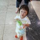 진양호캐리비안워터파크 이미지