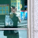몽쓰당