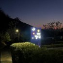 피노키오 자연휴양림 야영장 | 울산 입화산 자연휴양림 별뜨락 카라반 야영장 아이랑 후기!(내돈내산 솔직후기)