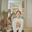 제이제인 이미지