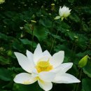 사랑마을 요양원 이미지