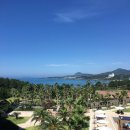 용운목장 | [2019] 제주에서의 기타등등