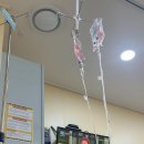 태산메디칼 | A형독감 증상 , 잠복기 그리고 후유증 정리(입원과 수액치료)