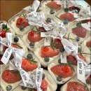 수피아플라워 이미지