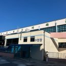 횡성군 체육관 수영장 이미지