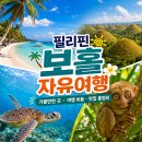 욘마트 | 🇵🇭 필리핀 보홀 3박4일 자유여행 가이드｜가볼 만한 곳·여행 비용·마사지·맛집 총정리
