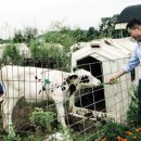 을축목장 이미지