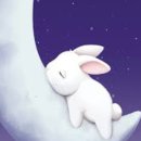 달나라 토끼 이미지