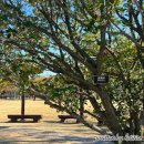 순천만국가정원 생태체험장 화장실 | 국내 가을여행 추천 순천만습지 아름다운 황금빛 갈대밭과 다양한 체험 프로그램