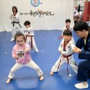 경희대 박사 태권도장 이미지