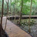 서귀포자연휴양림 이미지