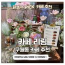 두산이네 애견샵 | 구월동 카페 리림 | 꽃향기 가득한 인천 플라워카페 힐링 후기 (디저트 맛집)