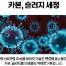 렉스인터내셔널(주) 이미지