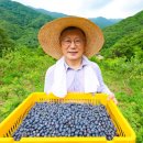 청정자연지리산