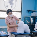 오드리펫 이미지