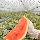 우곡농장 이미지