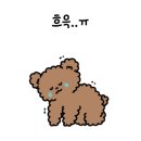 솔내음숲속작은집 이미지