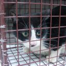 이상윤동물병원 이미지