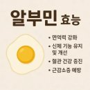 스마트폰 300활용하기_5기 | 알부민 영양제 효능 알아보기 복용법 부작용 알아보기