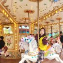 경주아이태권도장 이미지