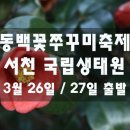 [클릭하세요] 동백 꽃봉우리 톡! 바다향 주꾸미 한입에 가득! 동백꽃주꾸미축제 서천 당일치기! 이미지