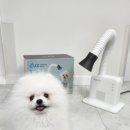 두즈 이미지