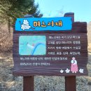 장무골 티스토리