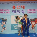 용인대 일등 태권도 네이버블로그