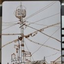 능주동물병원 이미지