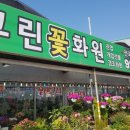 그린꽃화원 이미지