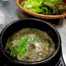 싱싱오동도