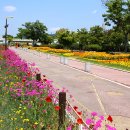 황룡강변2 이미지