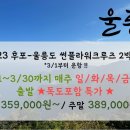 썬플라워3